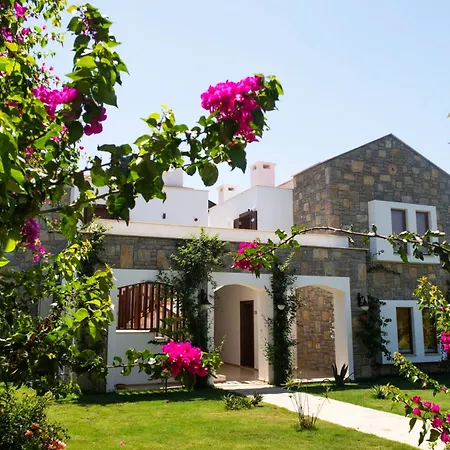 داتسا دوريس داتْشا