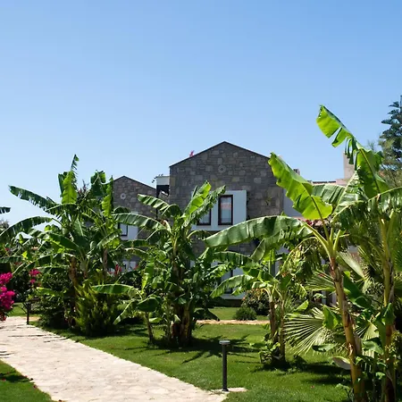 داتسا دوريس