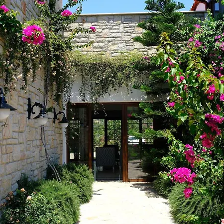 داتسا دوريس 3*