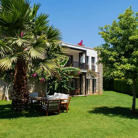 داتسا دوريس